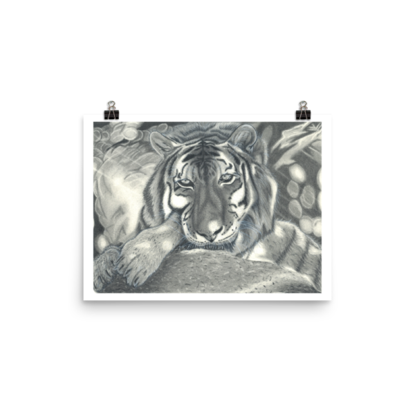 Languishing Tiger Charcoal Print - Image 2