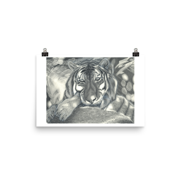 Languishing Tiger Charcoal Print - Image 3