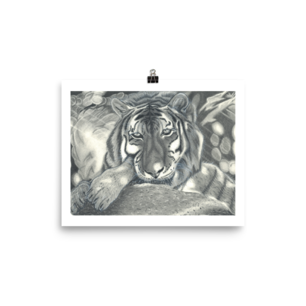 Languishing Tiger Charcoal Print - Image 4